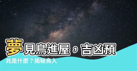 夢見鳥入屋|【夢見鳥入屋】夢見鳥入屋，吉兆降臨！幸運指引，財運亨通 – 每。